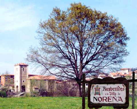 Cartel de entrada: Bienvenidos a la Villa de Noreña, junto a un árbol y la iglesia