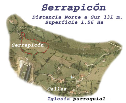 serrapicon grande